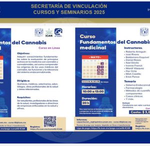 curso-fundamentos-del-cannabis